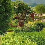 Ap Auszeit Nationalpark Sommercard Inkl ,5 Pers Διαμέρισμα *