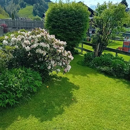 Auszeit Nationalpark Sommercard Inklusive Mai-okt Hollersbach im Pinzgau