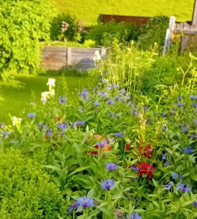 Appartement Auszeit Nationalpark Sommercard Inklusive Mai-okt Hollersbach im Pinzgau