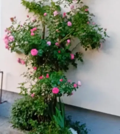 Daire Auszeit Nationalpark Sommercard Inklusive Mai-okt Hollersbach im Pinzgau