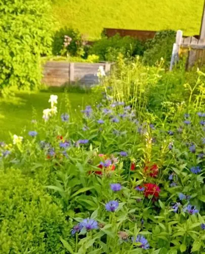 Appartement Auszeit Nationalpark Sommercard Inklusive Mai-okt Hollersbach im Pinzgau
