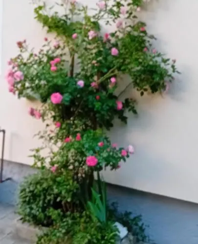 Appartement Auszeit Nationalpark Sommercard Inklusive Mai-okt Hollersbach im Pinzgau